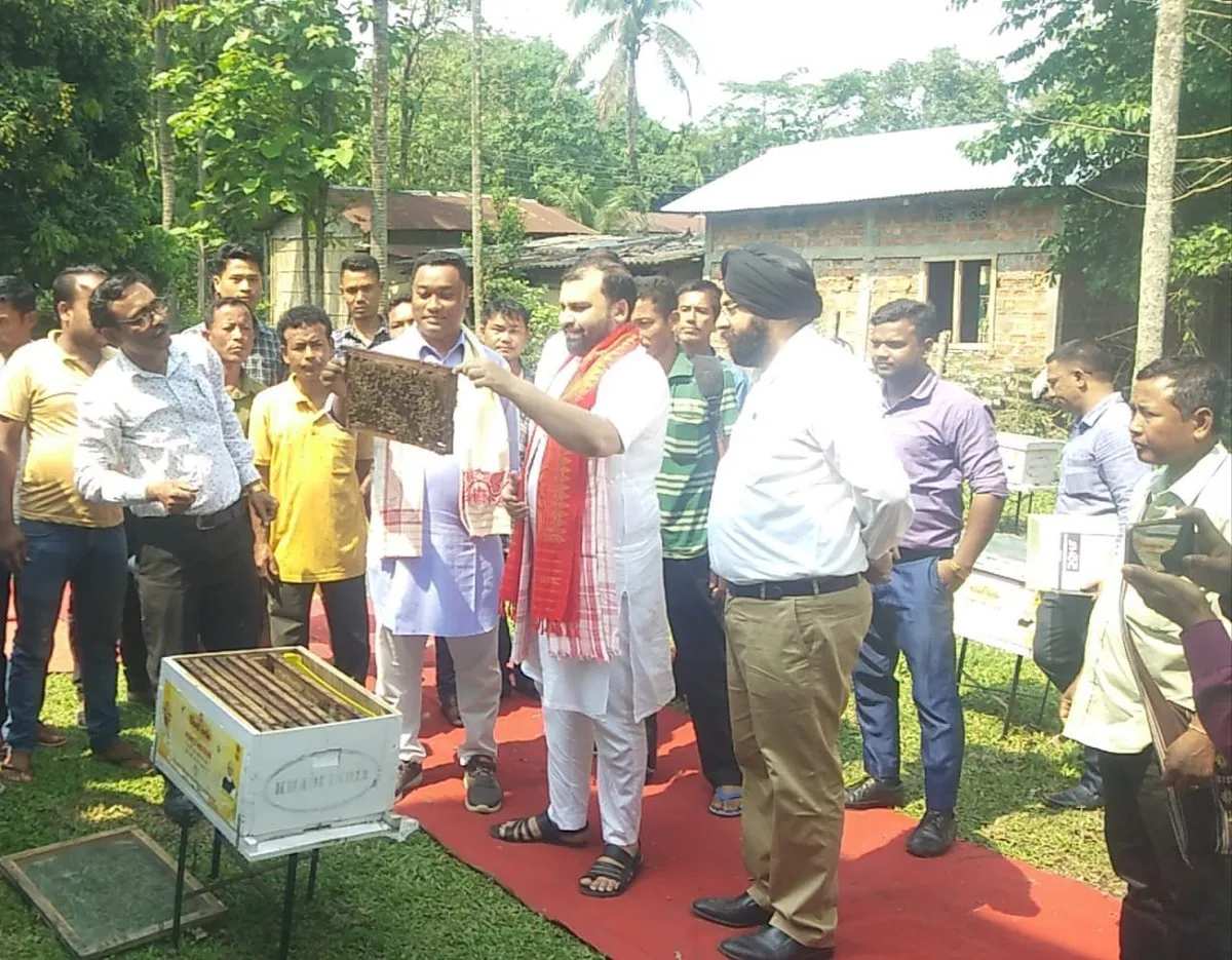 মৌ বাকচ আৰু মৌ বীজ বিতৰণ  