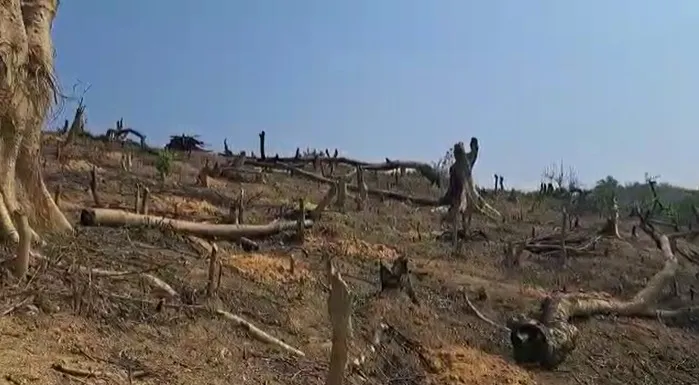 আগ্ৰাসন  
