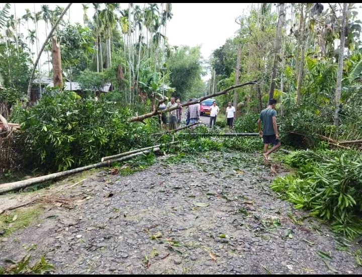 গছ ভাঙি পৰি ব্য়াহত বিদ্যুৎ সেৱা  