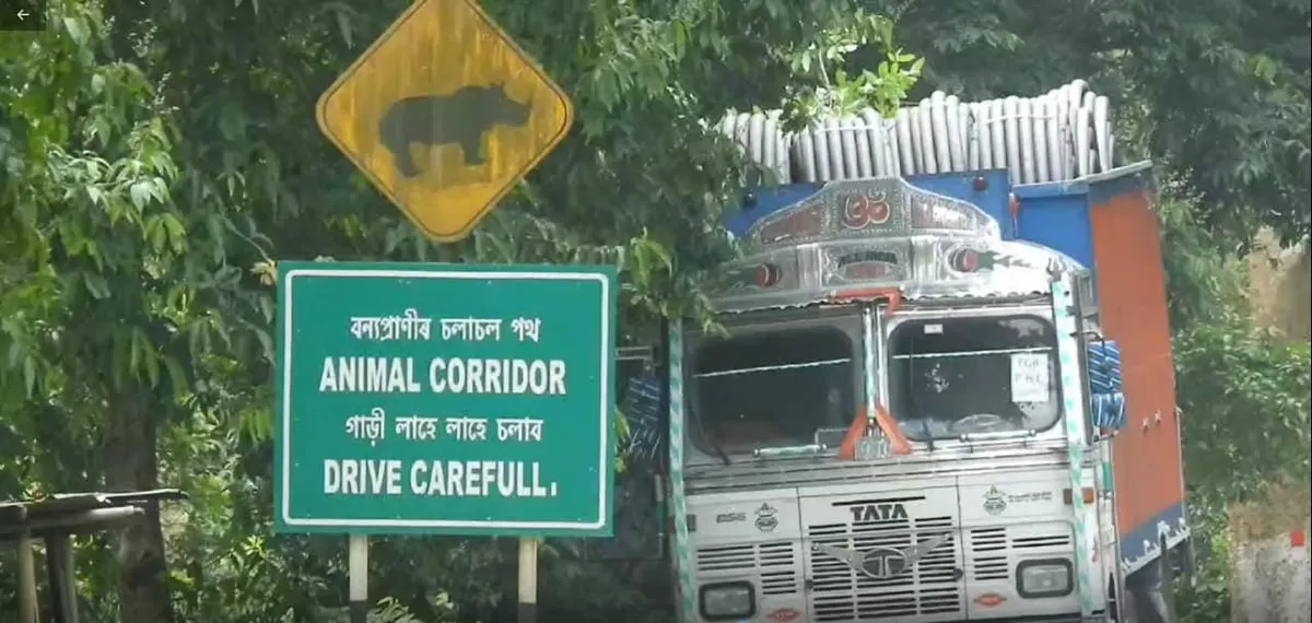 এনিমেল কৰিডৰ  