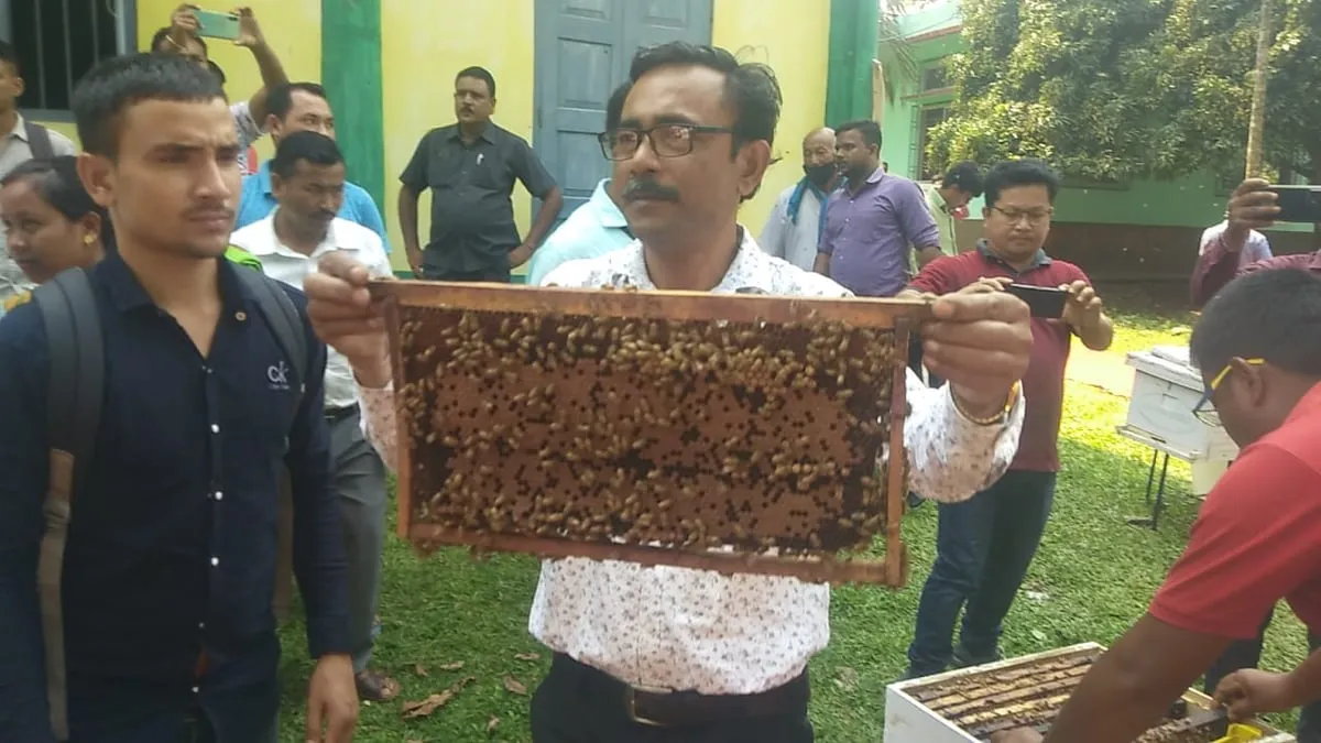 মৌ বীজ  