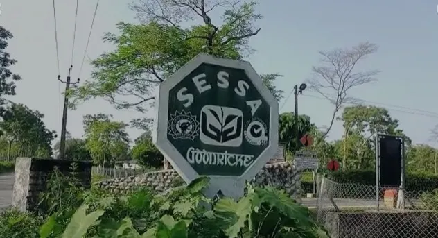 চেঁচা চাহ বাগিচা  
