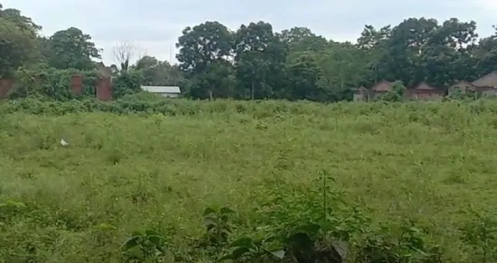অৰন্য নহয়,  ইয়াতে কাঠাৰিয়াই নিৰ্মাণ কৰি আছে পুলিচ বেৰেক  