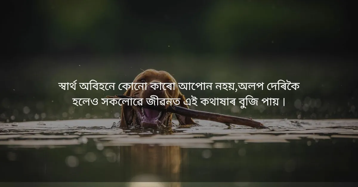 Assamese Quotes About Life: জীৱনৰ বিষয়ে উদ্ধৃতি  
