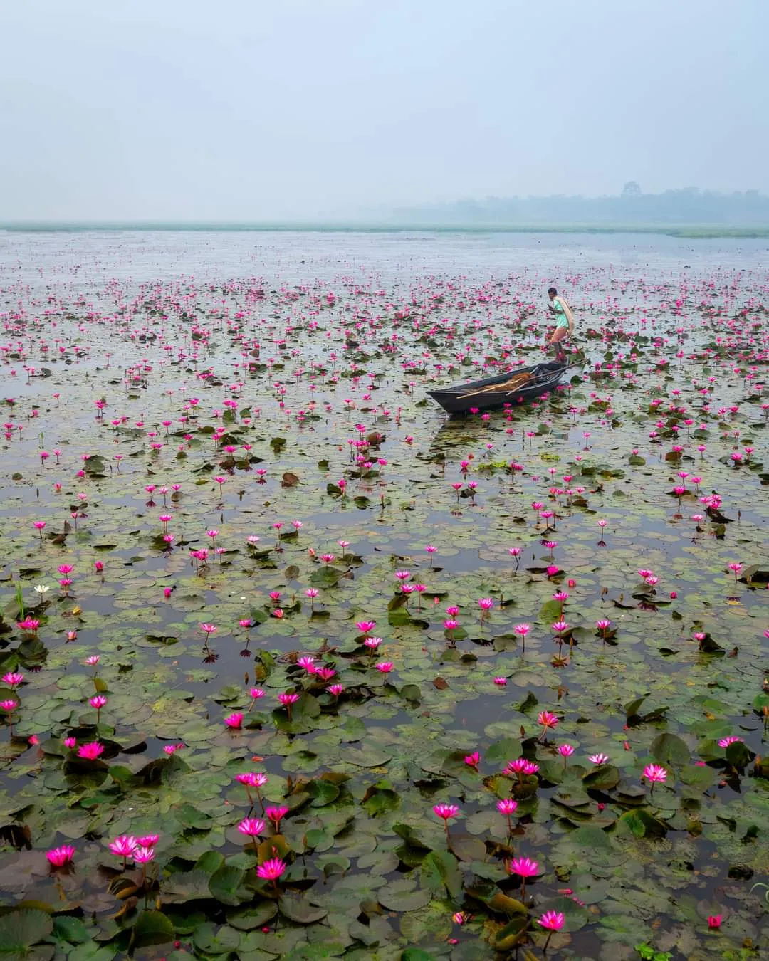 ফটো-শচীন ভৰালী  
