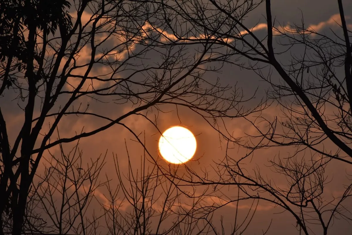 Photography by Lashmita Saikia  