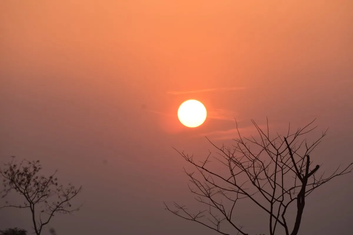   Lashmita Saikia
