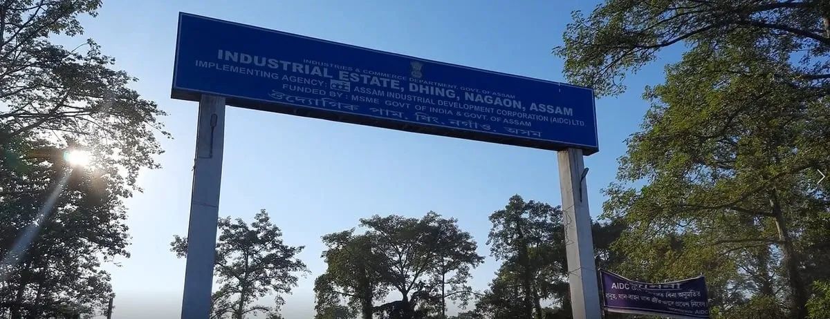 ইণ্ডাষ্টিয়েল ইষ্টেট, ধিং  