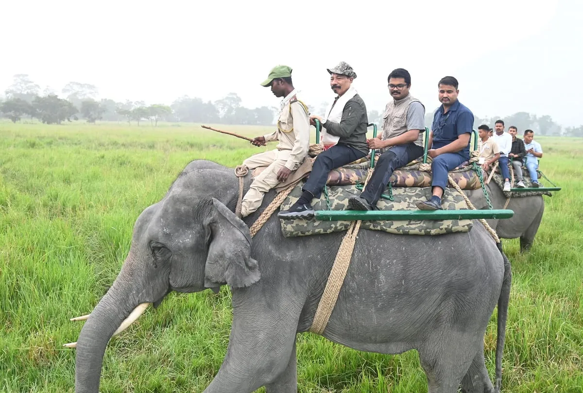হাতী ছাফাৰী কৰিছে মন্ত্ৰী অতুল বৰাই  