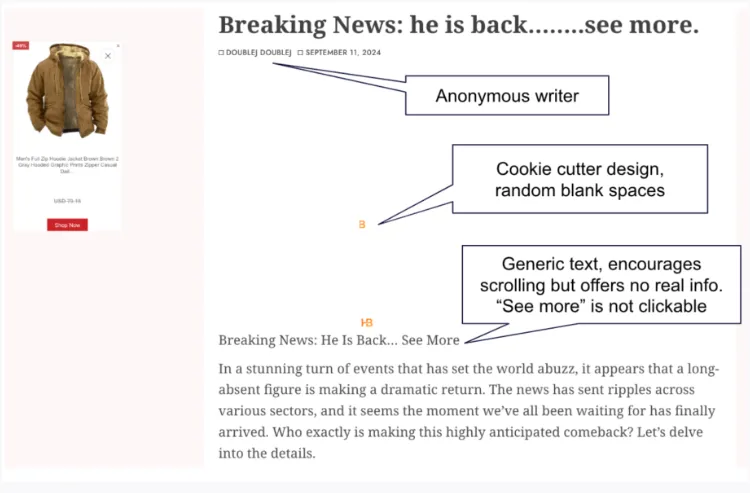 A screenshot of a news article

Description automatically generated