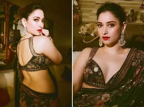 Tamannaah Bhatia: Actress, Fashion Icon, and 2024 Film Slate