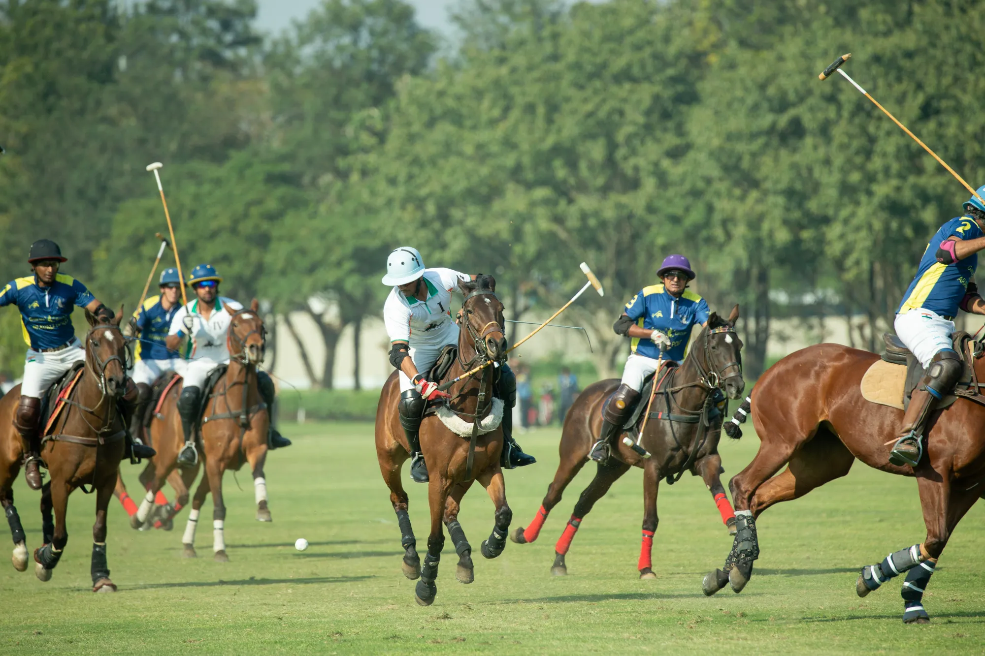 Players in action