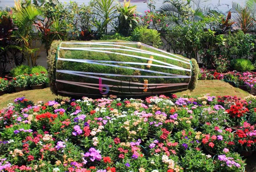 Dhol Made By Flowers