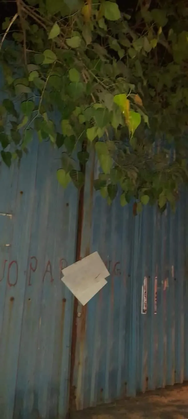 publive-image