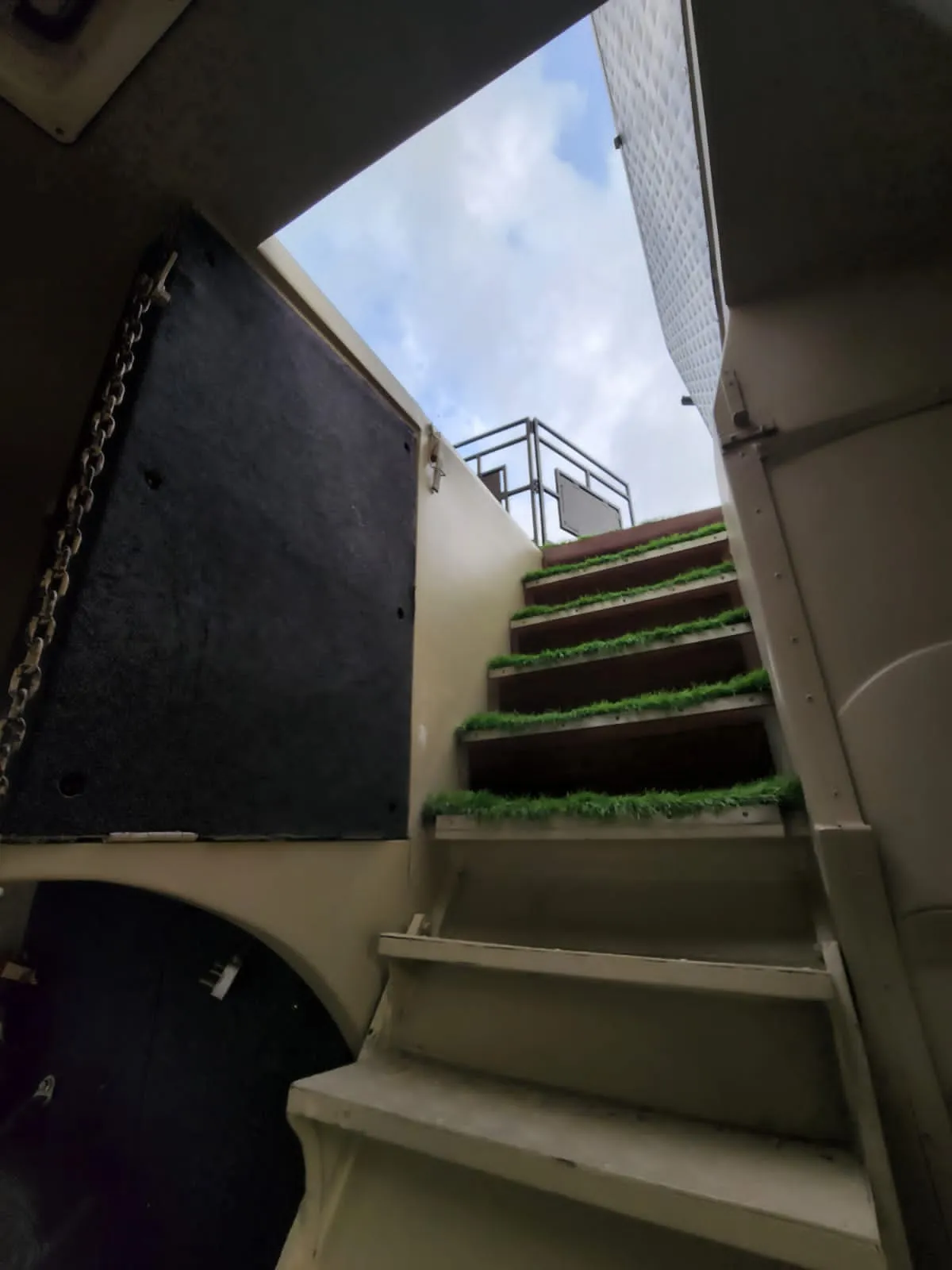 publive-image