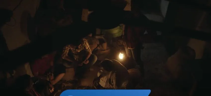 publive-image