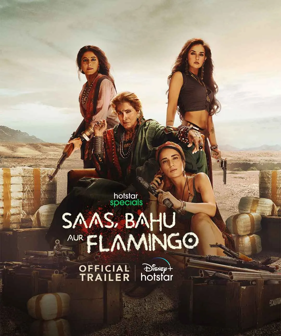 Trailer of Saas, Bahu aur Flamingo  (15)