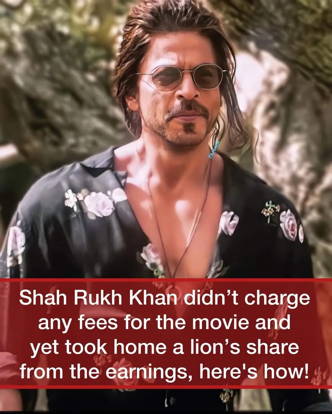 publive-image