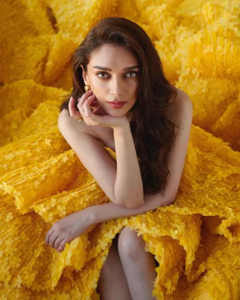 Aditi Rao Hydari Cannes red carpet look at Cannes 2023 is finally out