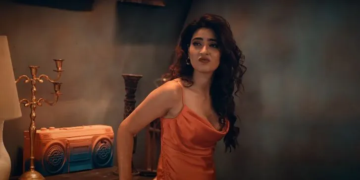 Meet Bro’s new song ‘Confession-Meri Wari Ae’ (11)