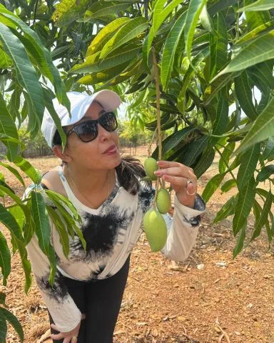 Shubhangi Atre (Angoori Bhabi, Bhabiji Ghar Par Hai) Mango Day