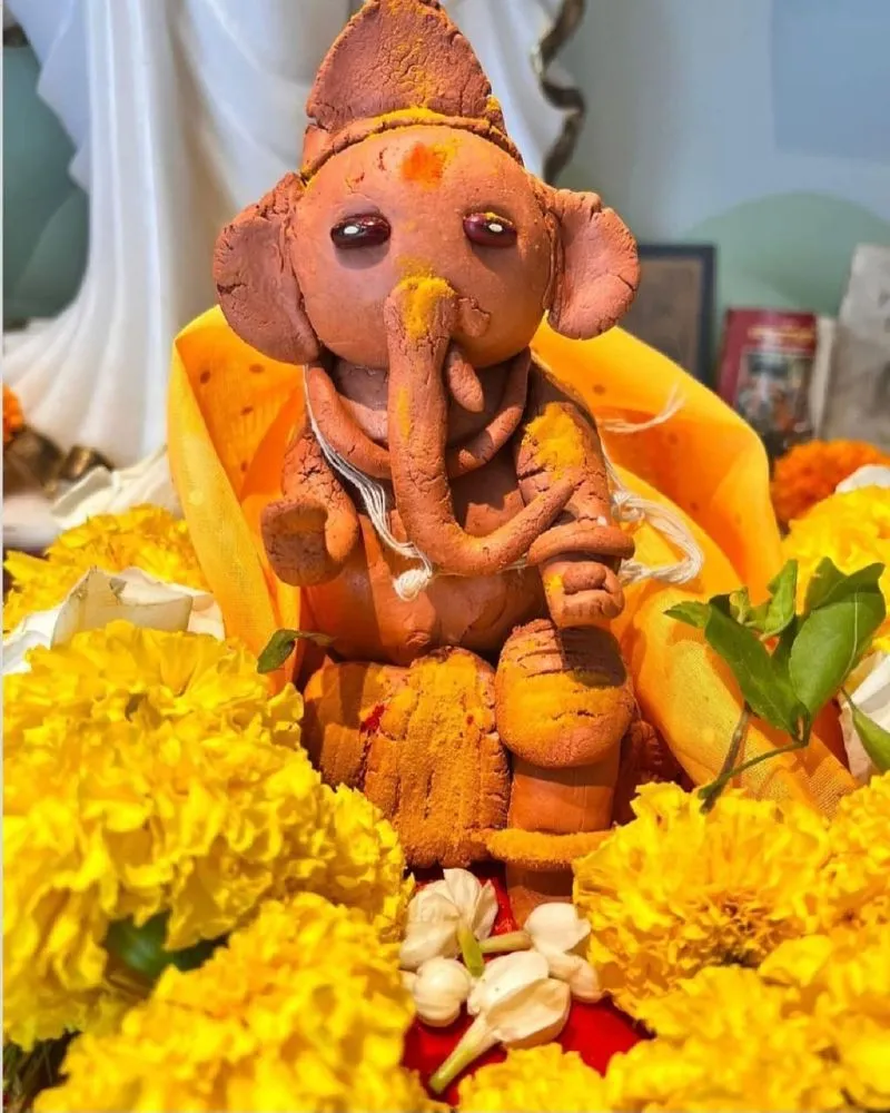 Rajkummar Rao’s Eco-Friendly Ganpati Celebration