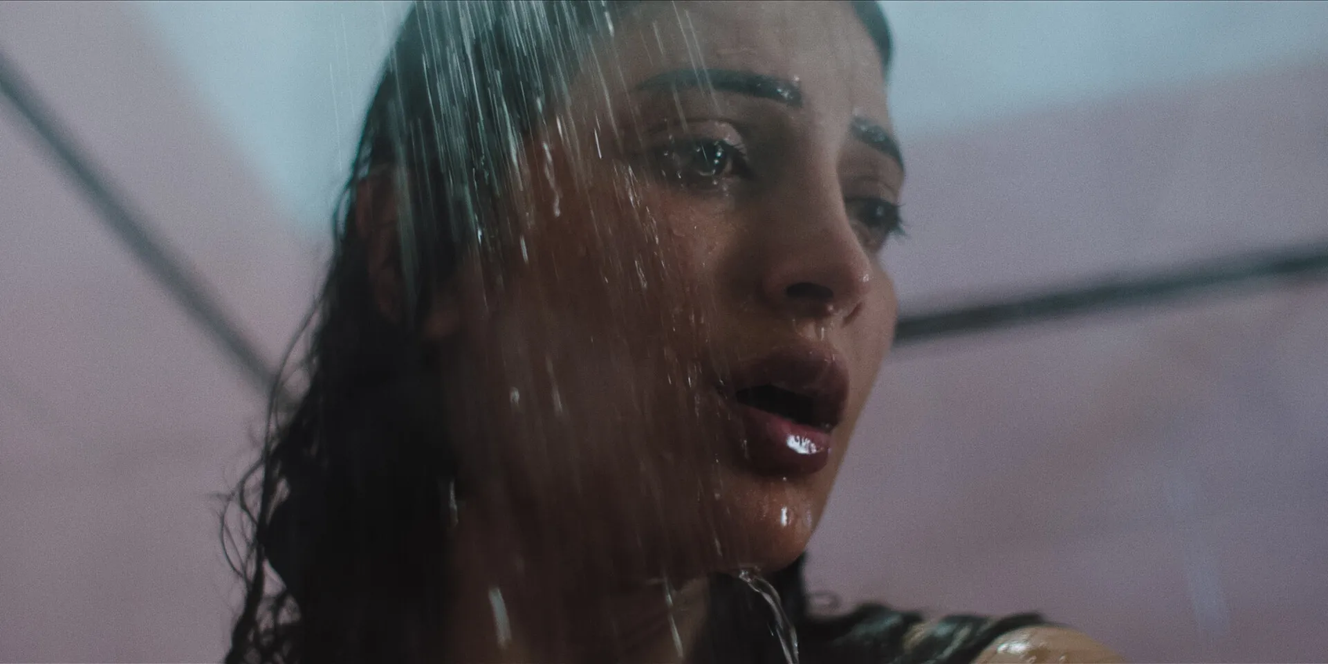 Films will be showcased in three different categories