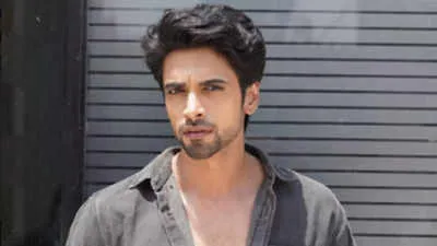 Aakash Ahuja joins the cast of 'Badall Pe Paon Hai'; to play a grounded and  content character - Times of India