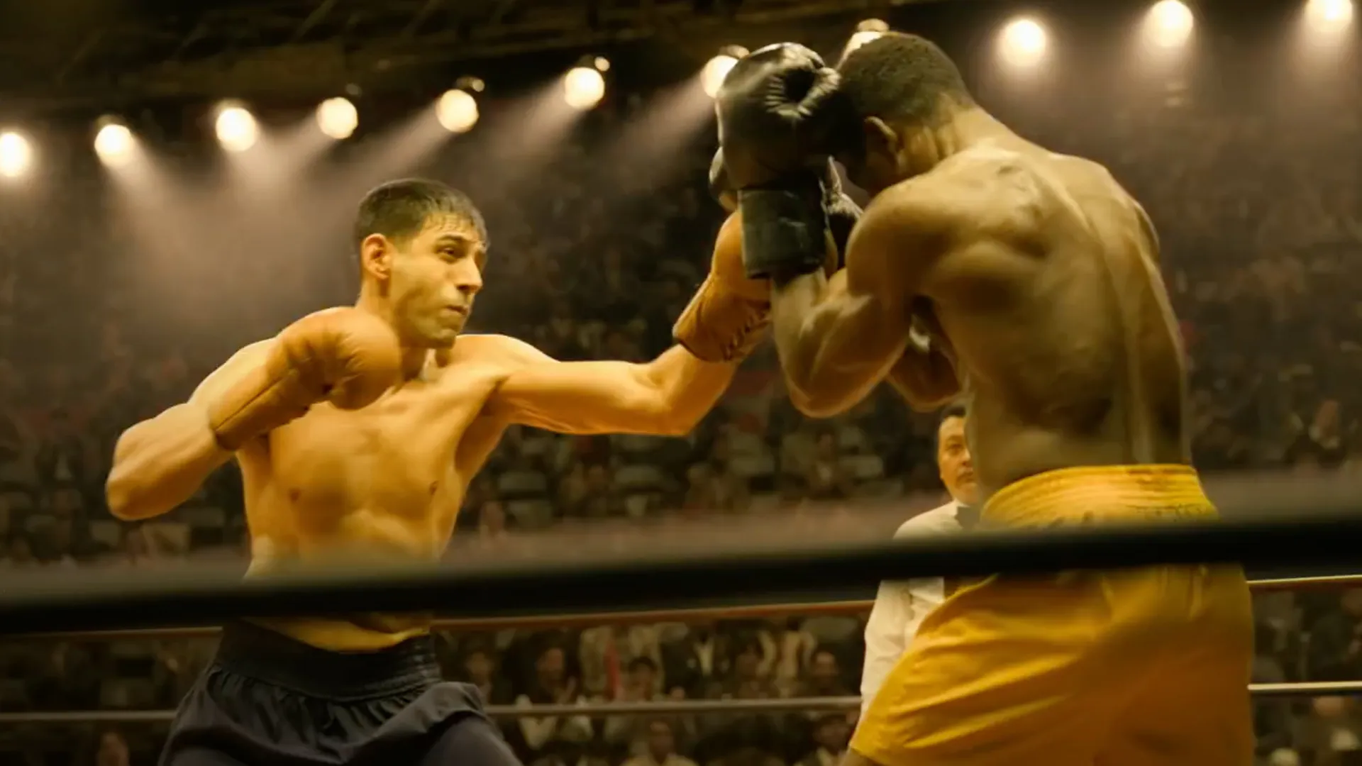 Chandu Champion | Rotten Tomatoes