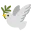 🕊️