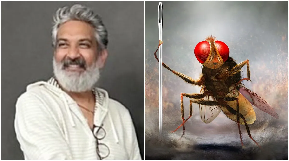 SS Rajamouli hints at Eega 2, reveals he had a hard time 'mentally  separating' himself from flies post Eega shoot