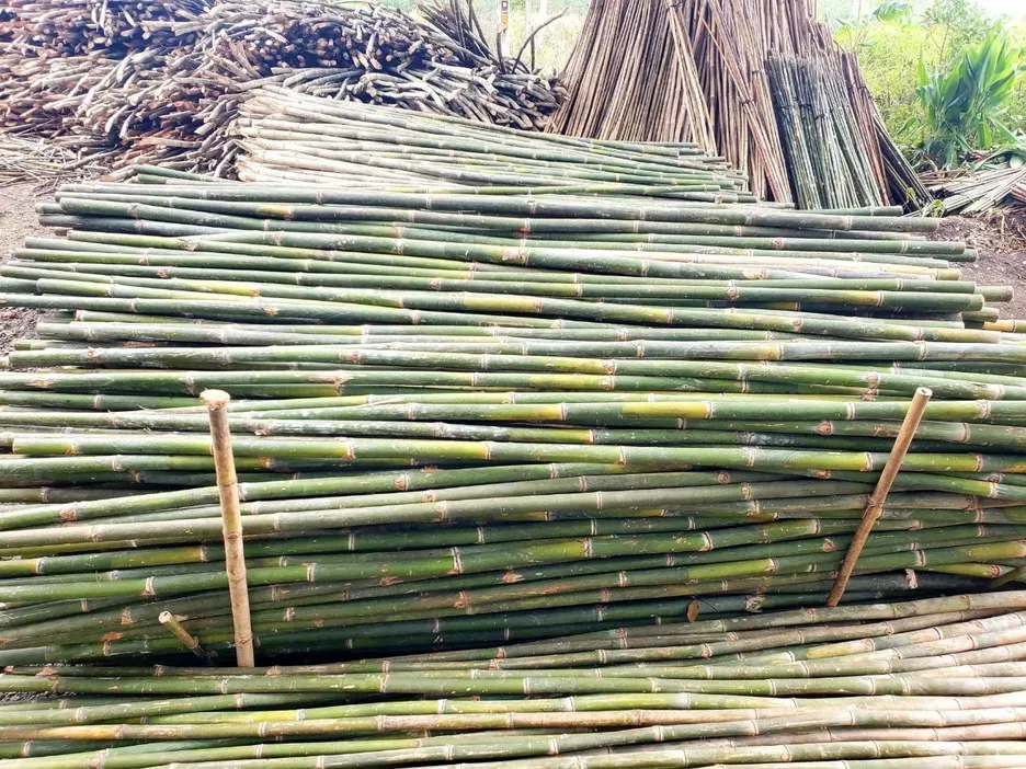 Bamboo prepared in Assam-Meghalaya