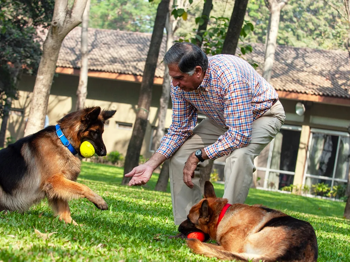 Dogs Were Indeed Ratan Tata's Best Friends - Forbes India