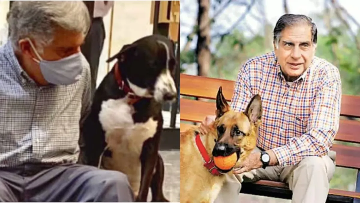 Ratan Tata's Love For Dogs To Live On With His Last Project; An Animal  Hospital In Mumbai - Culture