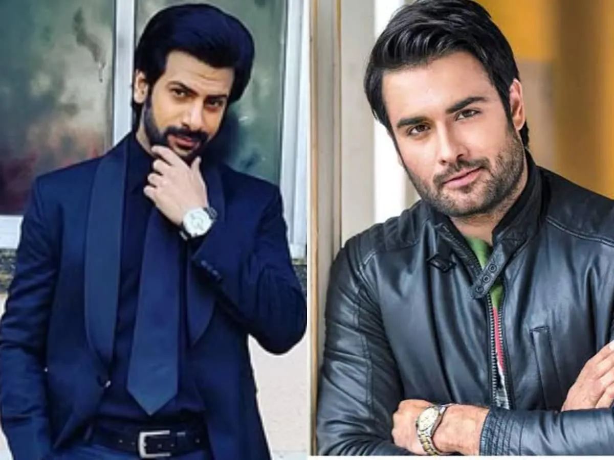 Bigg Boss 18 Karan Veer Mehra Got Emotional After Vivian DSena Told He Not  Get Carrier Credit क्या सुधर रहे हैं विवियन और करण के रिश्ते? मधुबाला एक्टर  की बात सुनकर इमोशनल