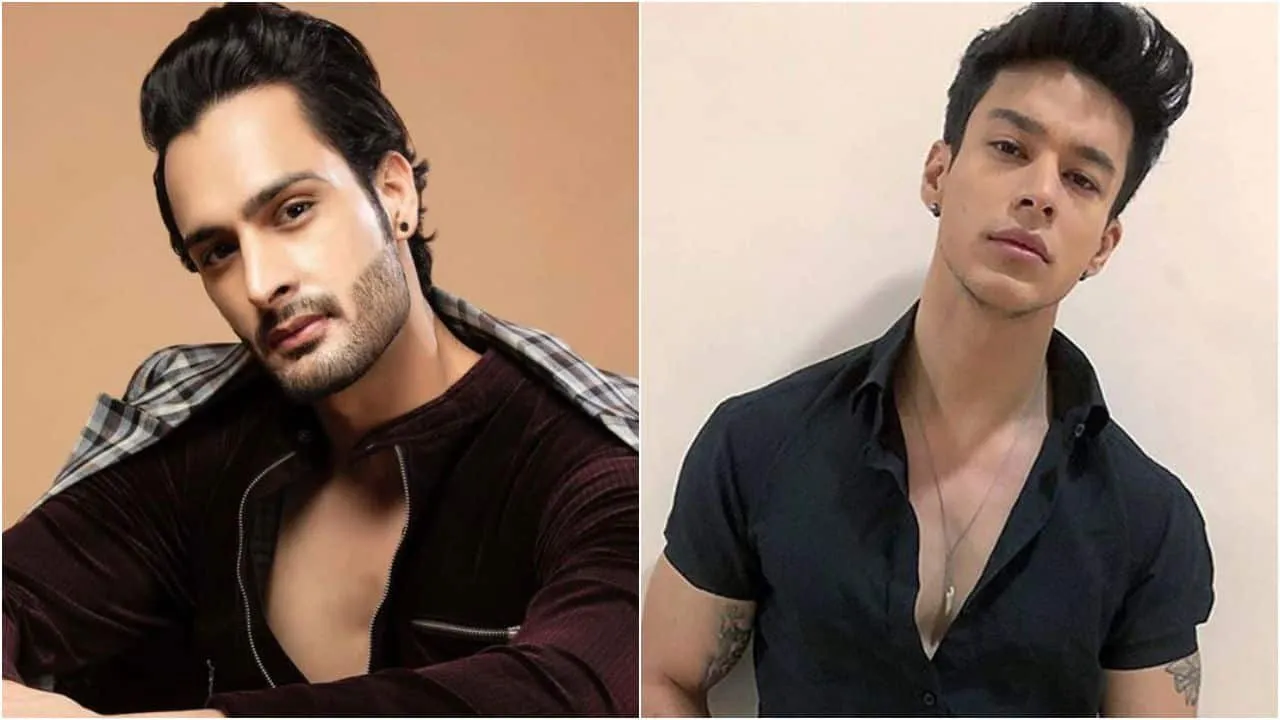 Bigg Boss 15: Umar Riaz evicted after huge physical brawl with Pratik  Sehajpal? Fans say, 'Chill guys they can't eliminate him' — read tweets