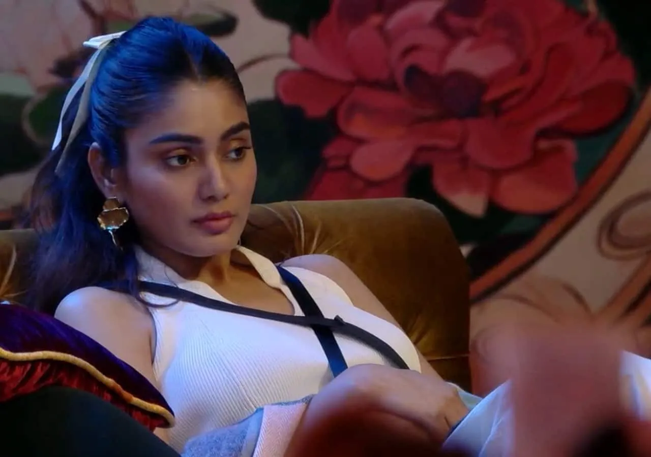 Bigg Boss OTT 3: Sana Makbul REVEALS getting 121 stitches after being  bitten by a dog; says 'It's a scar...' [Watch]