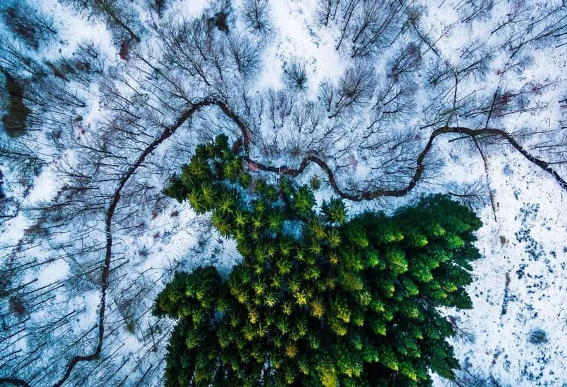 CIOL forget instagram, check out Dronestagram