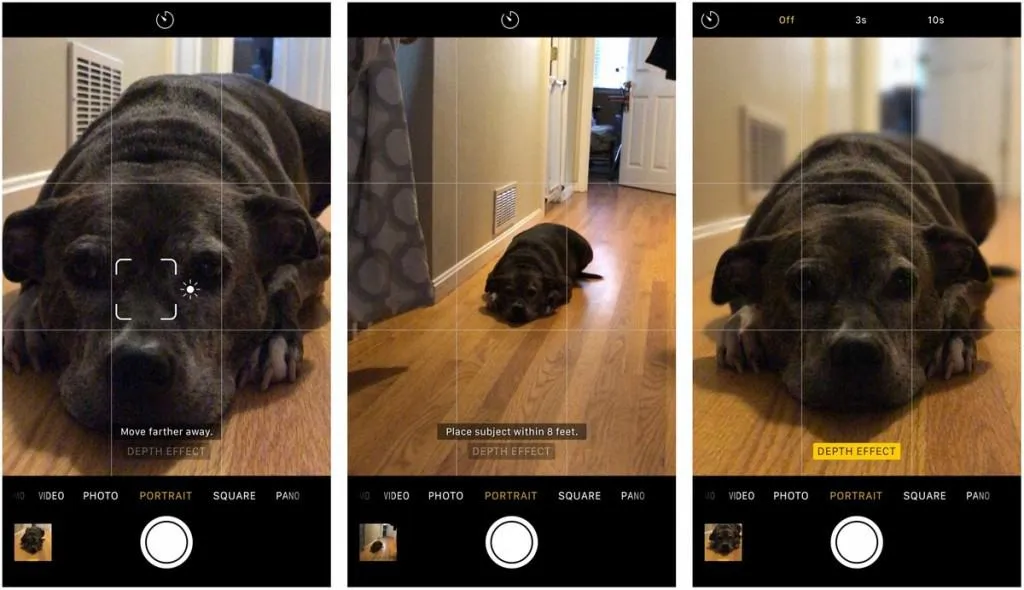 CIOL Apple rolls out Portrait mode to give SLR effect in pictures 