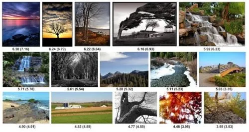 Google's AI will tell you how good your photos are