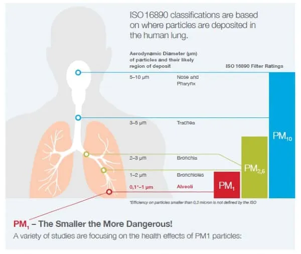Pictorial representation of health effects of PM1 particles