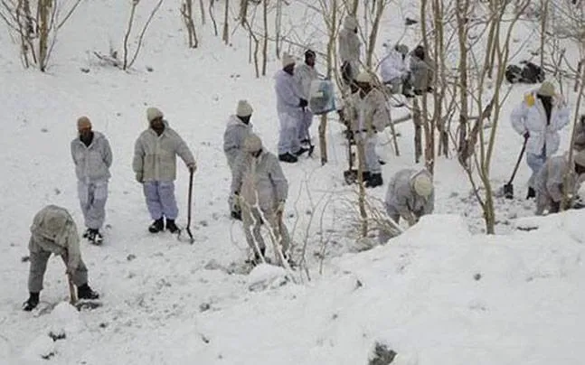 avalanchefb_647_010416051315