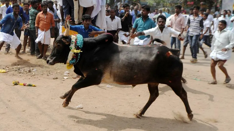 india-religion-hinduism-festival_fc0b02a4-dd2c-11e6-a538-54bd197a5a1b