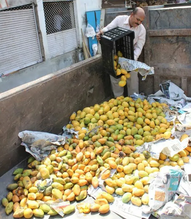 fruit