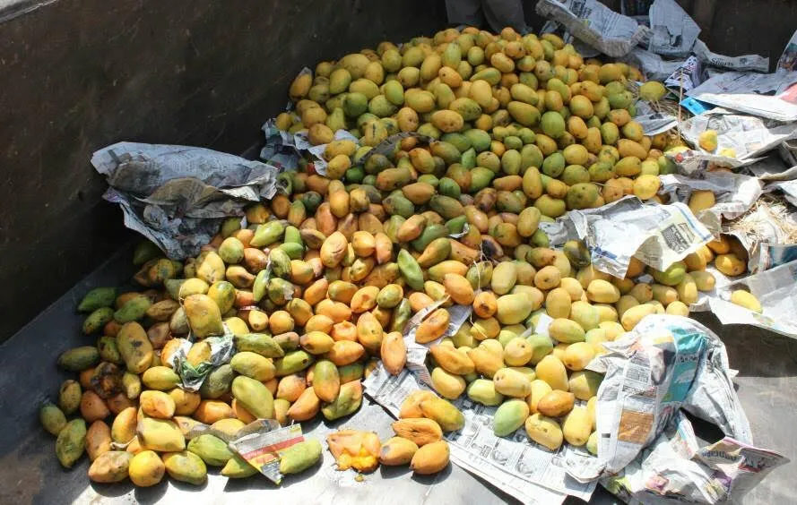 fruit