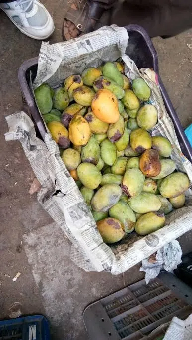 vendors