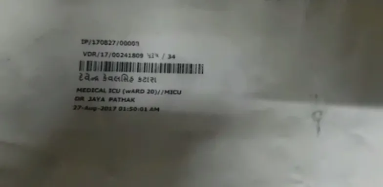 publive-image