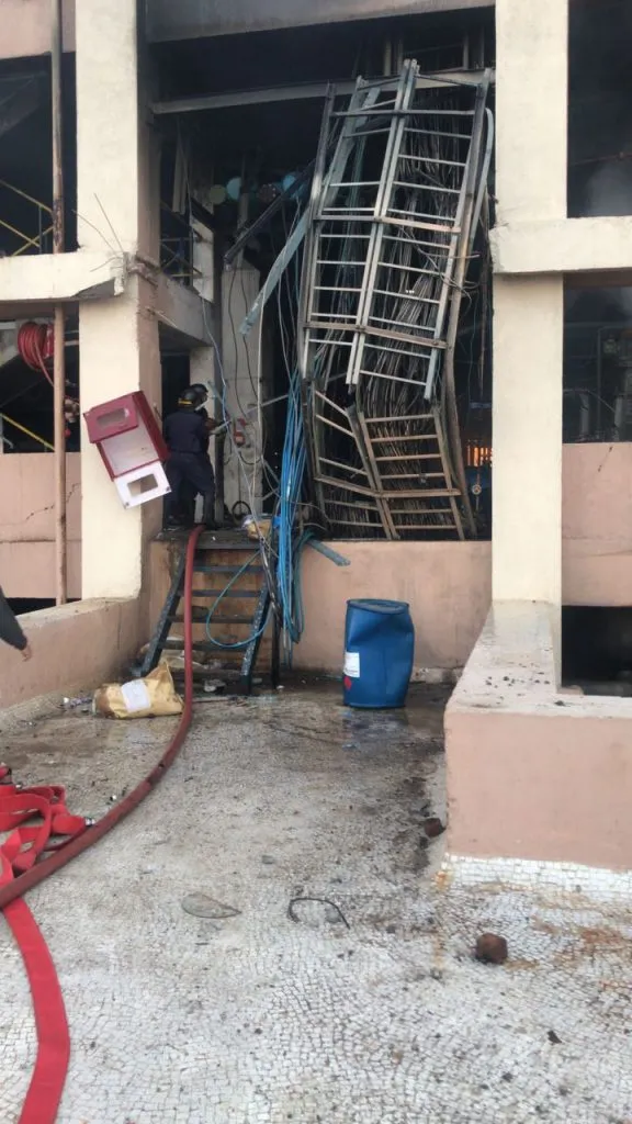 publive-image