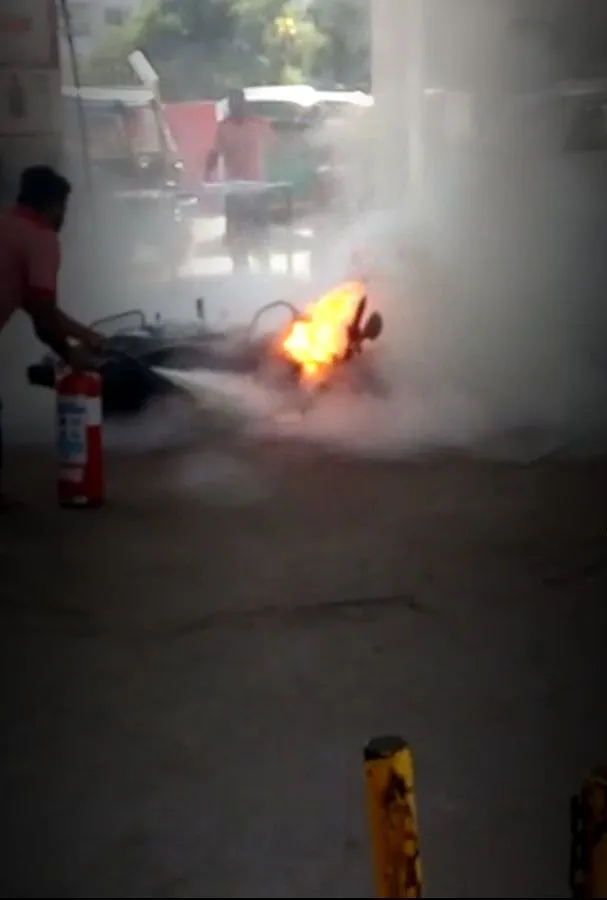 publive-image