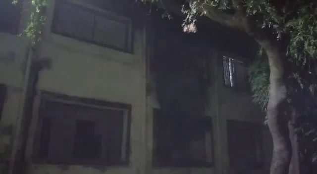 publive-image